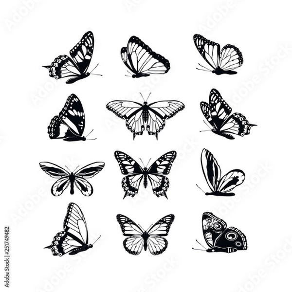 Obraz Set butterflies collection spring and summer black silhouettes on white background. Icons different shapes wings, for illustration, ornaments, tattoo, decorative design elements. Vector illustration.