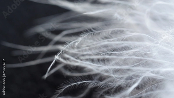 Obraz Kamera cyfrowa Olympus