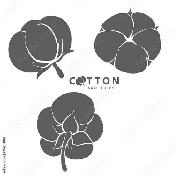 Obraz Cotton silhouette logo