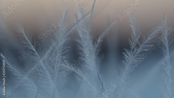 Obraz Kamera cyfrowa Olympus