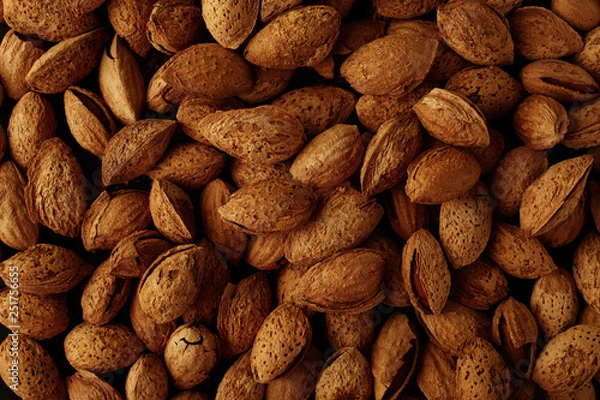 Fototapeta Top view of handful of pecans, almonds on a black background. Closeup. Micro