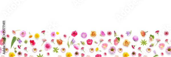 Obraz Flowers banner flat lay. 