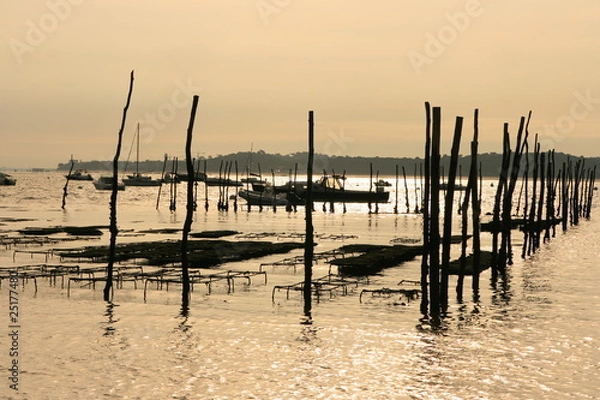 Obraz ostréiculture