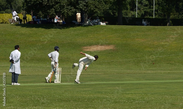 Obraz cricket