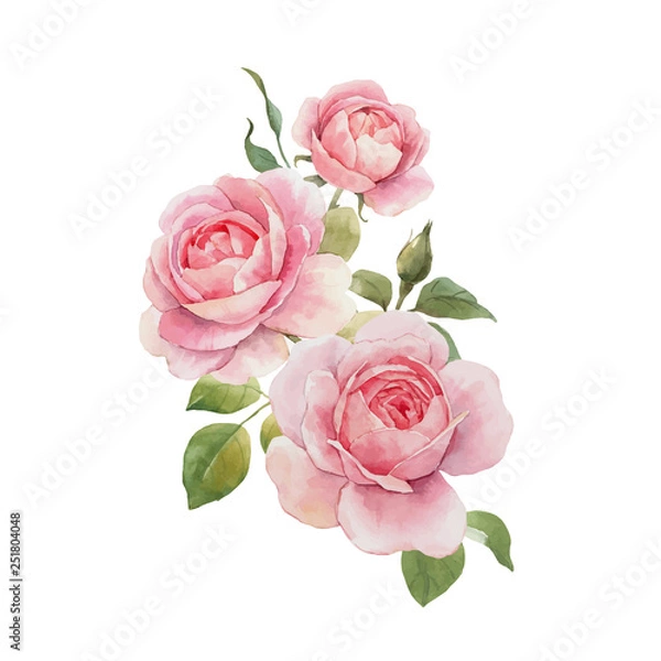Obraz Akwarela kompozycja wektor róży