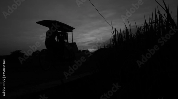 Fototapeta OLYMPUS DIGITAL CAMERA