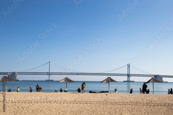 Fototapeta View of Gwangandaegyo Bridge from Gwangalli Beach in Busan, South Korea