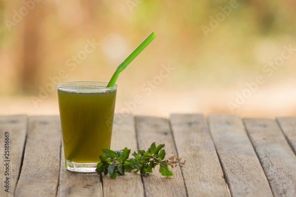 Fototapeta Red holy basil