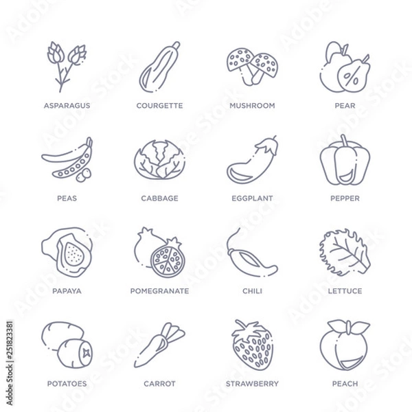 Fototapeta set of 16 thin linear icons such as peach, strawberry, carrot, potatoes, lettuce, chili, pomegranate from fruits collection on white background, outline sign icons or symbols