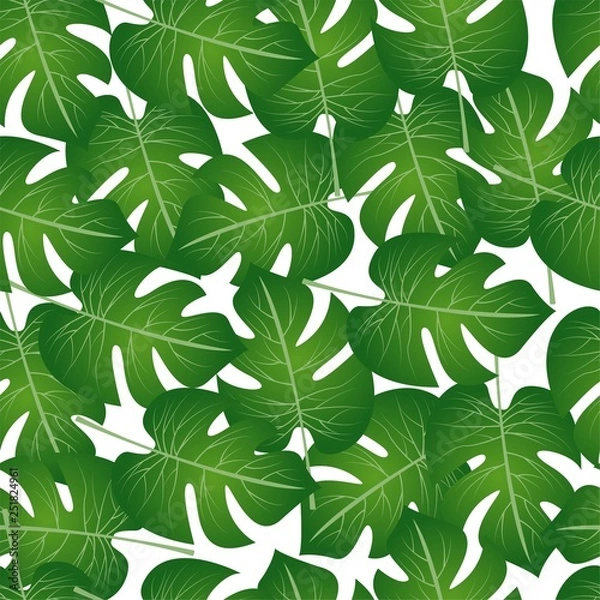 Fototapeta pattern of palm leaves