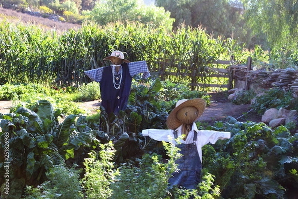 Fototapeta Espanta pajaros