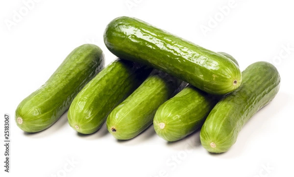 Obraz Persian mini cucumbers seedless gourmet food
