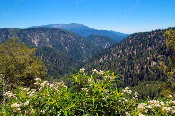 Obraz San Bernardino Mountains 