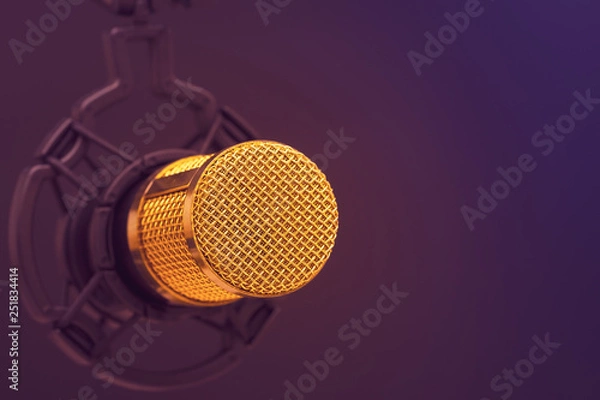 Fototapeta Close-up the head of condenser gold microphone. Composition on the left side with free space on the right. Artistic style.