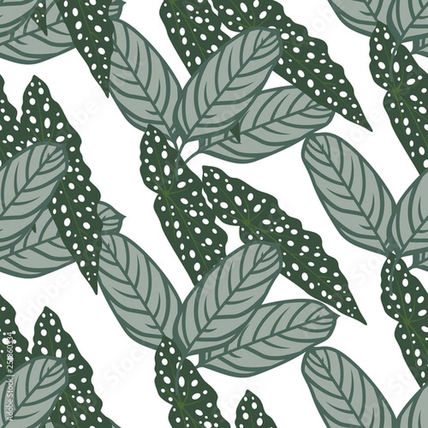 Fototapeta Vector seamless pattern with exotic tropical leaves. Tropical plants, house plants, botanical illustration