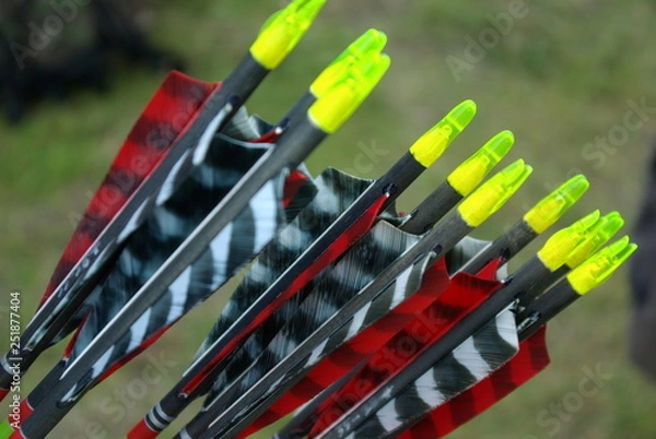 Obraz Arrows