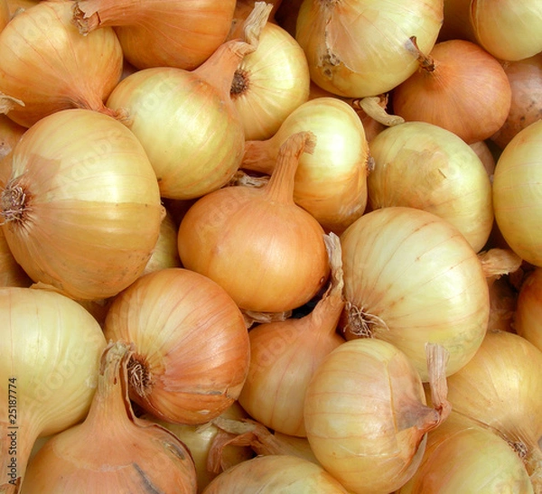 Fototapeta Onions.