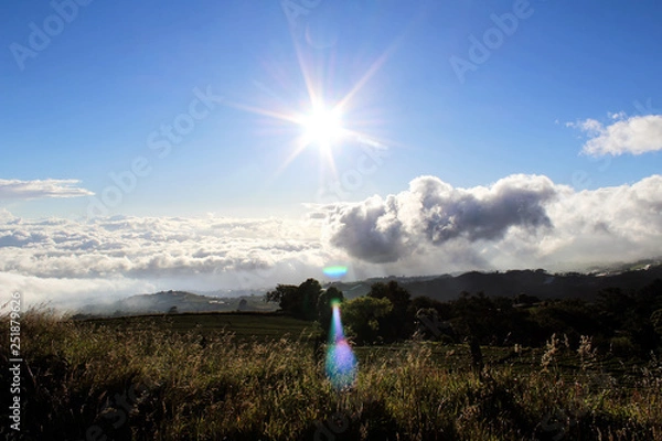 Obraz Above the clouds
