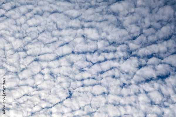 Fototapeta Blue sky cloud in winter for background texture