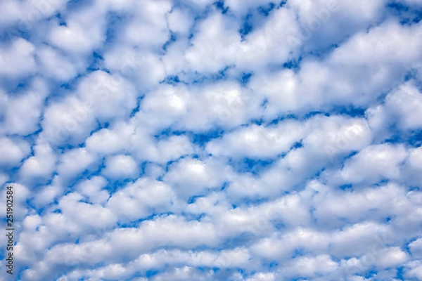 Fototapeta Blue sky cloud in winter for background texture
