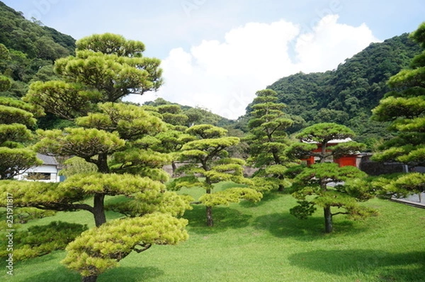 Obraz japanese garden