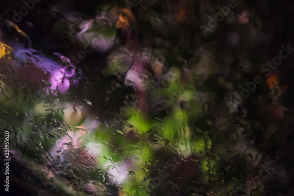 Obraz christmas tree with lights and stars