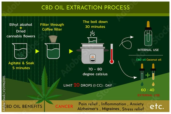 Obraz Cannabis oil (CBD oil) extraction process
