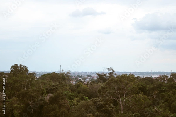 Fototapeta vista com arvores na Amazonia