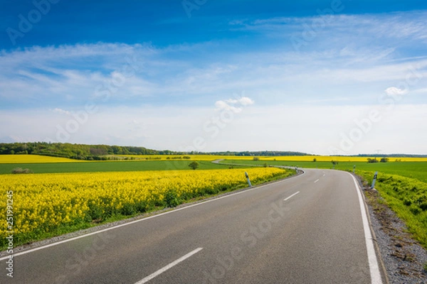 Obraz Landstraße mit Rapsfeld im Sommer