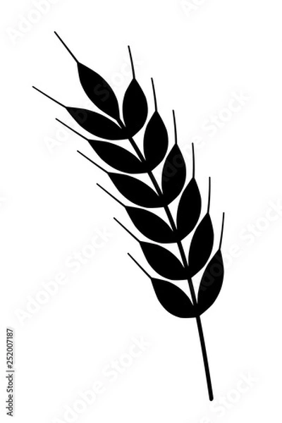 Fototapeta 小麦の穂