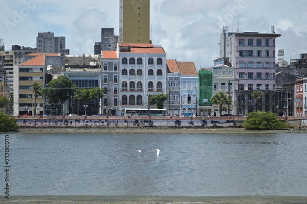 Obraz Rio Capibaribe