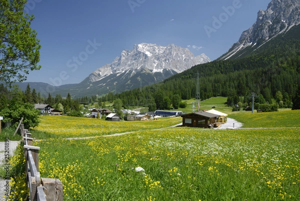 Obraz Blühende Wiesen am Fusse der Zugspitze bei Biberwier in Tirol.