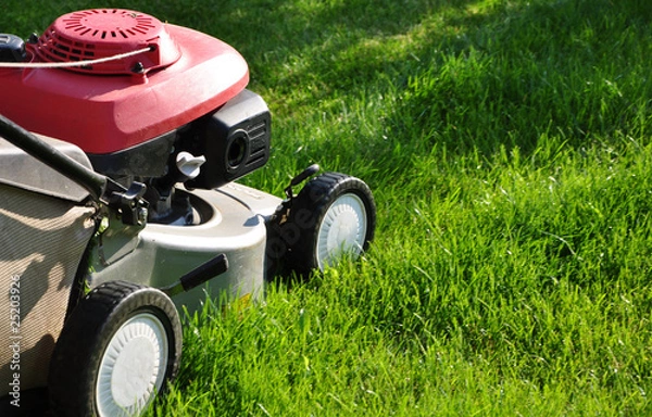 Obraz tondeuse de gazon