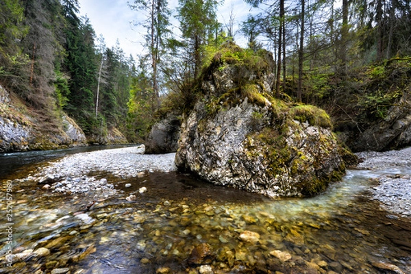 Obraz Slovenský raj