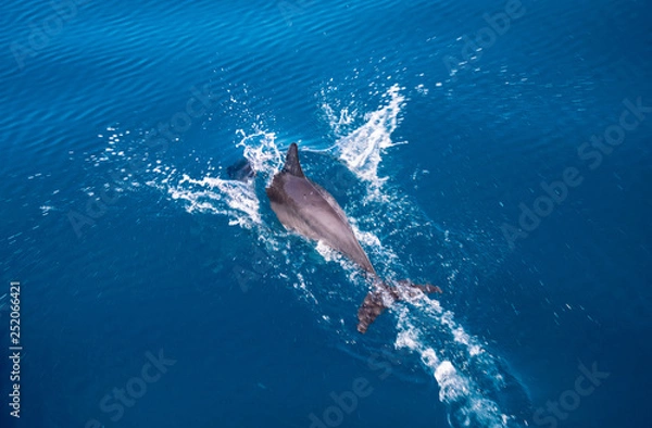 Fototapeta Whitsunday Islands, Australia