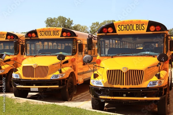 Fototapeta School bus