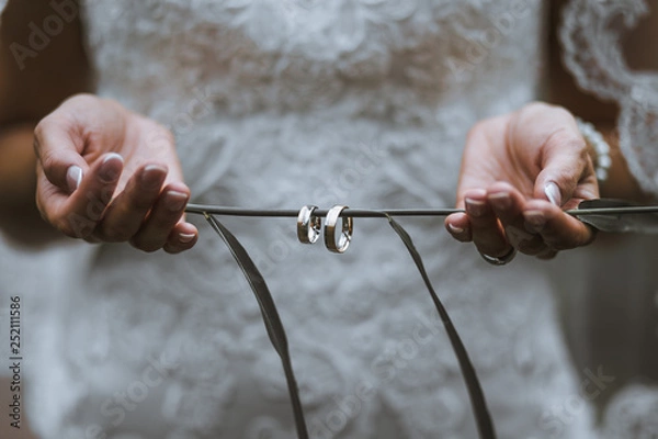 Obraz Braut hält Eheringe auf einem Grashalm