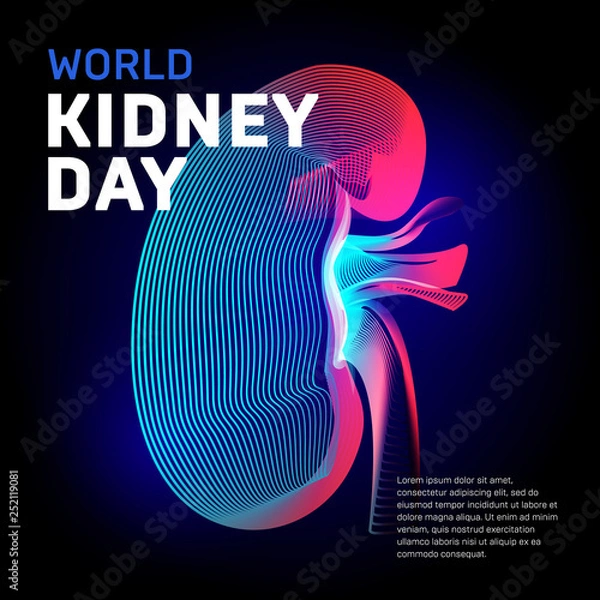 Obraz World kidney day health vector bean human organ silhouette contour in abstract 3d geometry lines texture and outline gradient waves vintage modern trendy graphic design illustration on dark background
