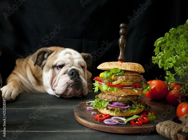 Fototapeta Double cheeseburger with onion,  salad and cheese.   the cook is preparing a sandwich.