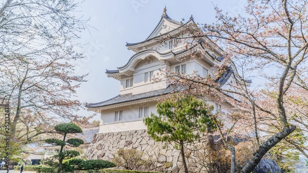 Fototapeta 春の大多喜城の風景