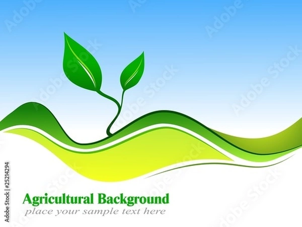 Obraz Agricultural Background