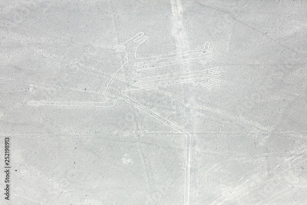 Fototapeta Nazca lines from the aircraft