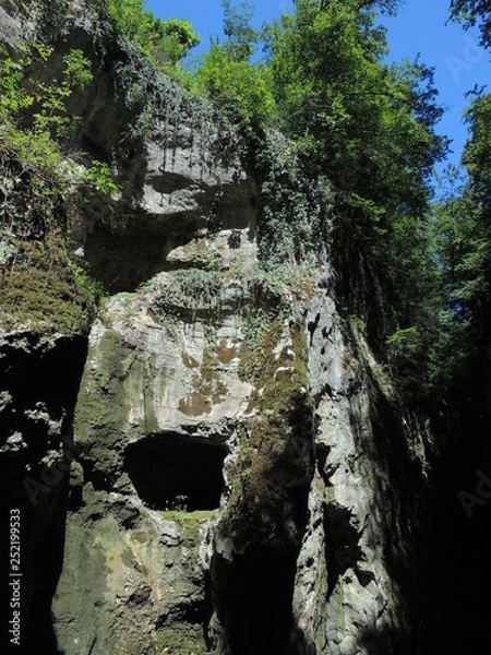 Obraz Gorge