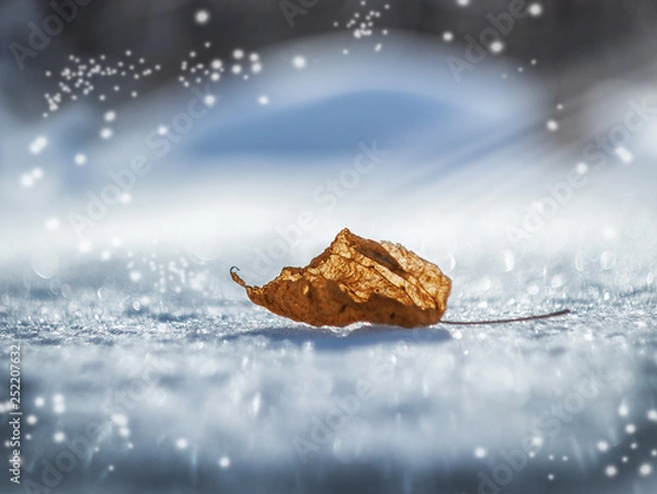 Obraz Волшебная зима