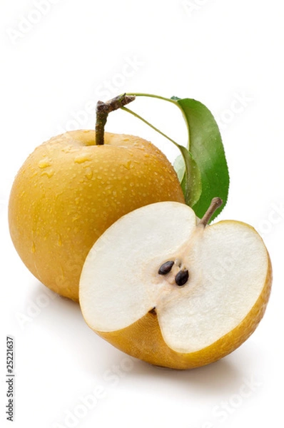 Obraz Nashi Pear