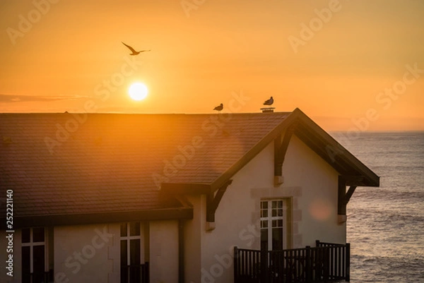 Fototapeta Birds on a roof in the sunset with ocean in the background