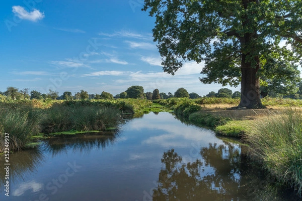 Obraz river running through field, trees with reflection 