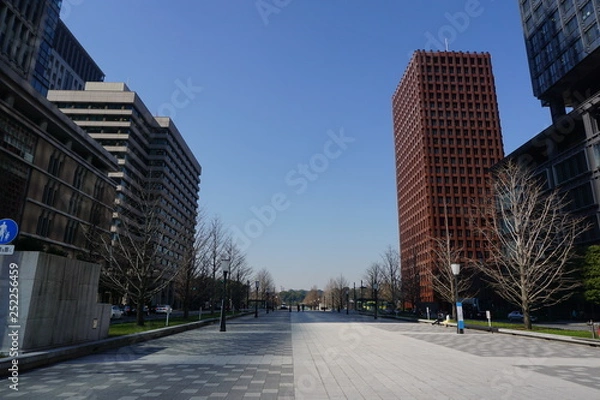 Fototapeta 首都東京の景観