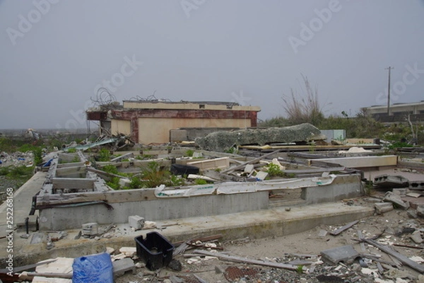 Obraz 東日本大震災