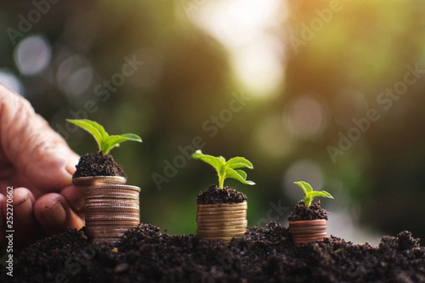 Obraz Human hand holding coin planting money to success , Saving and growing business concept, selective and soft focus.